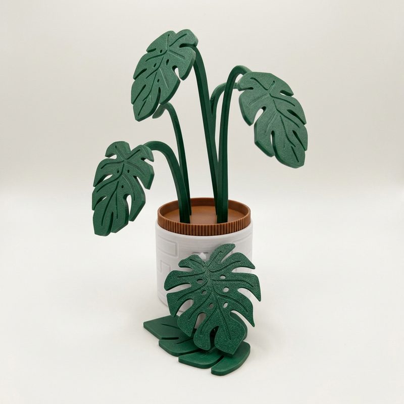 Monstera Coaster Set